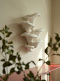 Kindred Mushroom Sculptural Plaster Wall Décor