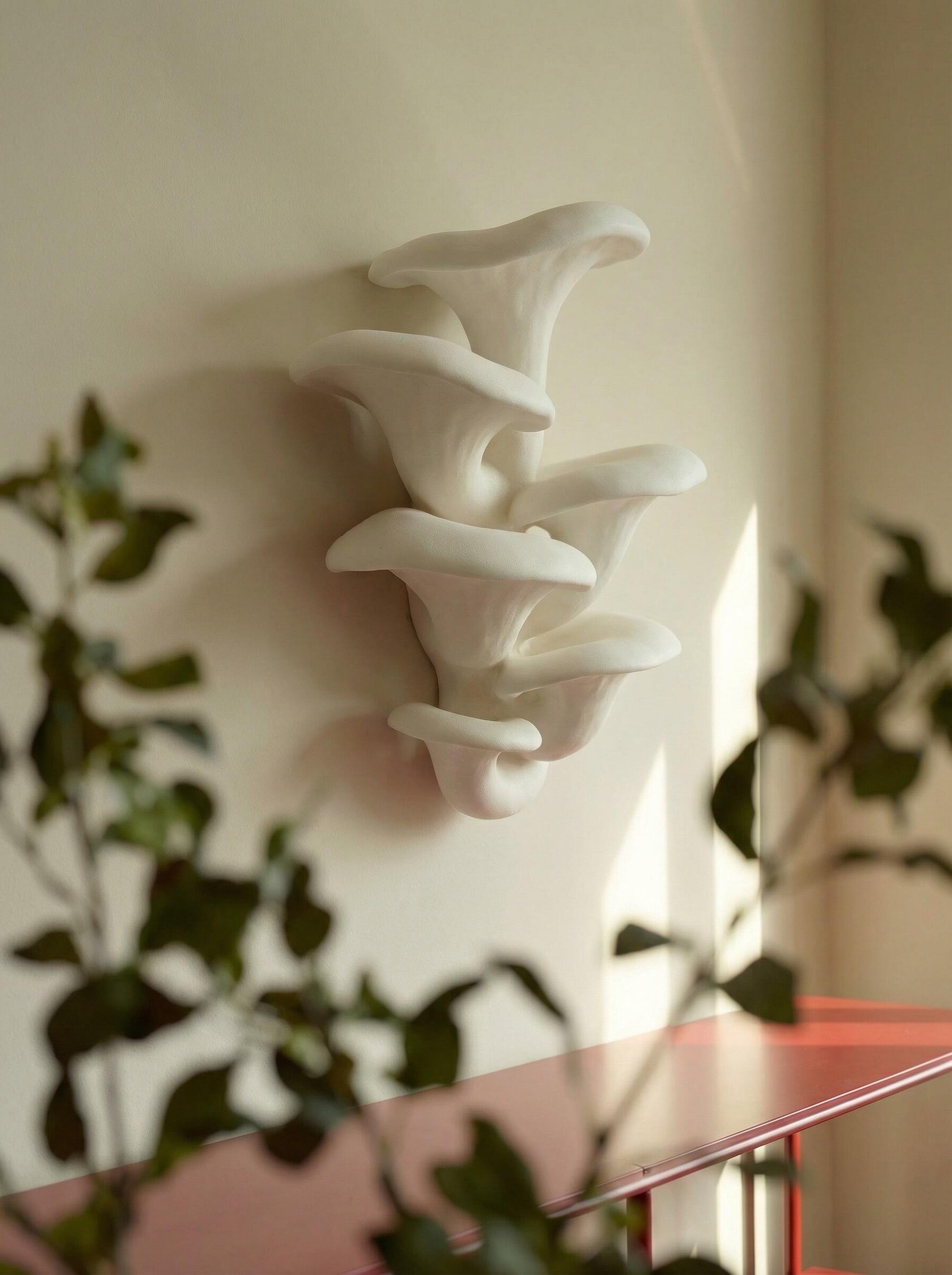 Kindred Mushroom Sculptural Plaster Wall Décor