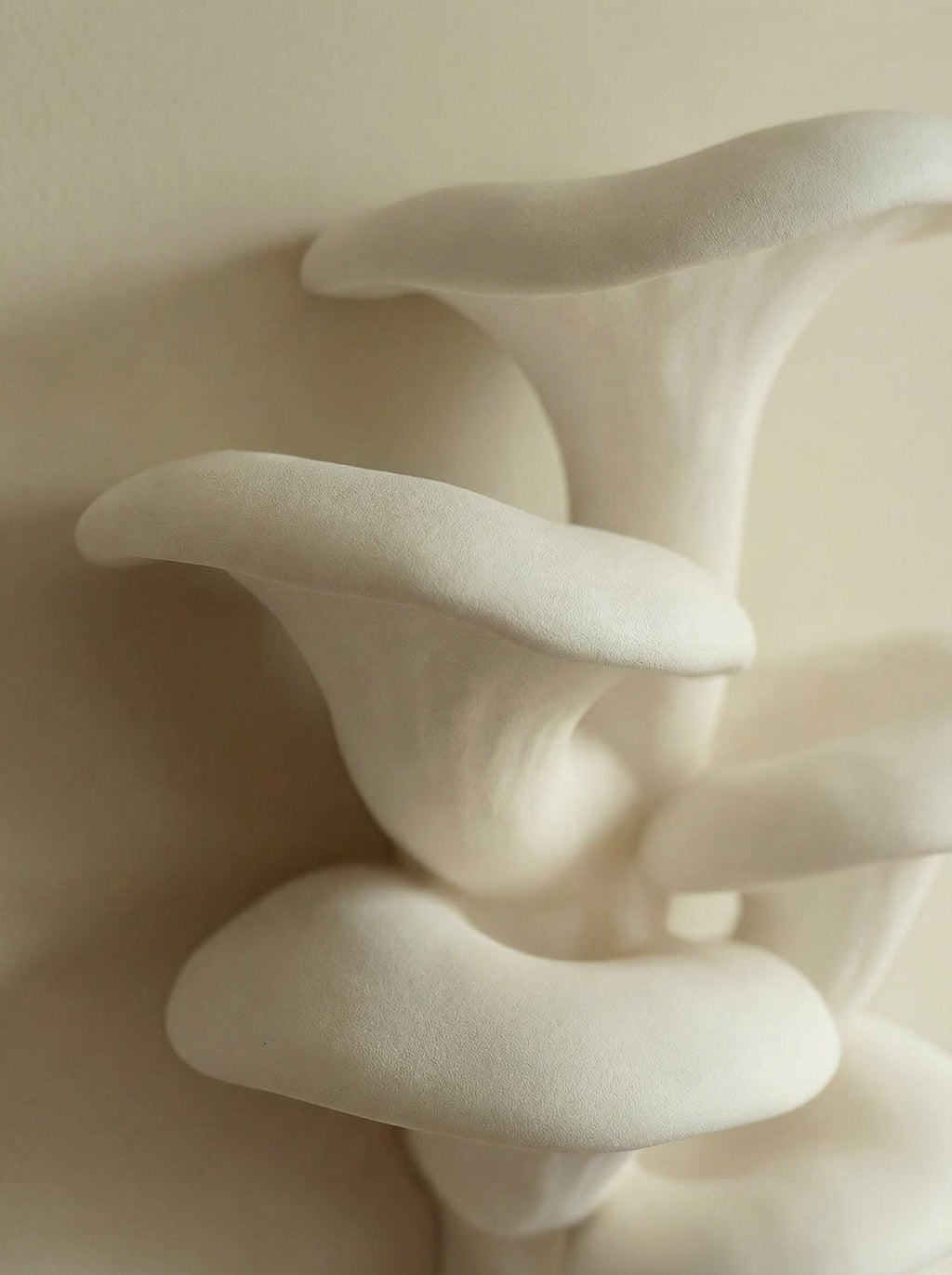 Kindred Mushroom Sculptural Plaster Wall Décor